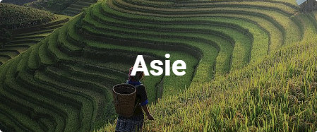 Letenky Asie